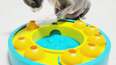 멍냥이 집사 필독! 펫버틀러 솔직 후기 & 할인 꿀팁🐶🐱